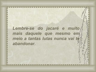 Lembre-se do jacaré e muito mais daquele que mesmo em meio a tantas lutas nunca vai te abandonar. 