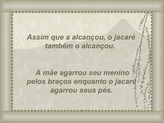 Assim que a alcançou, o jacaré também o alcançou. A mãe agarrou seu menino pelos braços enquanto o jacaré agarrou seus pés. 