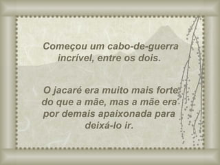 Começou um cabo-de-guerra incrível, entre os dois. O jacaré era muito mais forte do que a mãe, mas a mãe era por demais apaixonada para deixá-lo ir. 