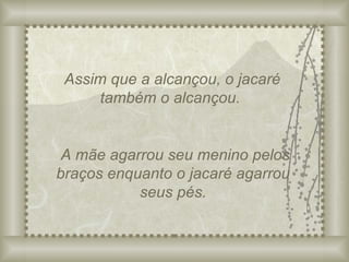 Assim que a alcançou, o jacaré também o alcançou. A mãe agarrou seu menino pelos braços enquanto o jacaré agarrou seus pés. 