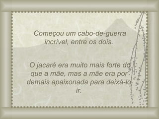 Começou um cabo-de-guerra incrível, entre os dois. O jacaré era muito mais forte do que a mãe, mas a mãe era por demais apaixonada para deixá-lo ir. 