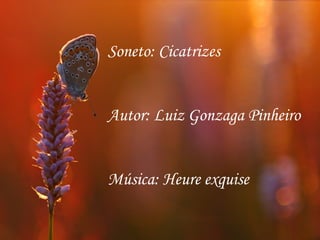 Soneto: Cicatrizes
Autor: Luiz Gonzaga Pinheiro
Música: Heure exquise
 