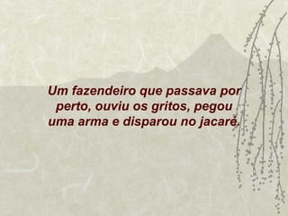 Um fazendeiro que passava por
 perto, ouviu os gritos, pegou
uma arma e disparou no jacaré.
 