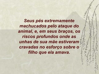 Seus pés extremamente
 machucados pelo ataque do
animal, e, em seus braços, os
  riscos profundos onde as
unhas de sua mãe estiveram
cravadas no esforço sobre o
     filho que ela amava.
 