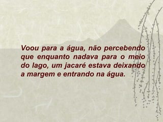 Voou para a água, não percebendo
que enquanto nadava para o meio
do lago, um jacaré estava deixando
a margem e entrando na água.
 