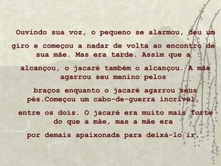 Ouvindo sua voz, o pequeno se alarmou, deu um
giro e começou a nadar de volta ao encontro de
     sua mãe. Mas era tarde. Assim que a
  alcançou, o jacaré também o alcançou. A mãe
           agarrou seu menino pelos
     braços enquanto o jacaré agarrou seus
   pés.Começou um cabo-de-guerra incrível,
 entre os dois. O jacaré era muito mais forte
         do que a mãe, mas a mãe era
   por demais apaixonada para deixá-lo ir.
 