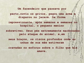 Um fazendeiro que passava por
  perto,ouviu os gritos, pegou uma arma e
       disparou no jacaré. De forma
 impressionante, após semanas e semanas no
        hospital, o pequeno menino
sobreviveu. Seus pés extremamente machucados
        pelo ataque do animal, e,em
 seus braços, os riscos profundos onde as
        unhas de sua mãe estiveram
 cravadas no esforço sobre o filho que ela
                  amava.
 