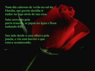 Num dia caloroso de verão no sul da Florida, um garoto decidiu ir  nadar no lago atrás de sua casa.  Saiu correndo pela porta traseira, se jogou na água e ficou nadando feliz. Sua mãe desde a casa olhava pela janela, e viu com horror o que estava acontecendo.  