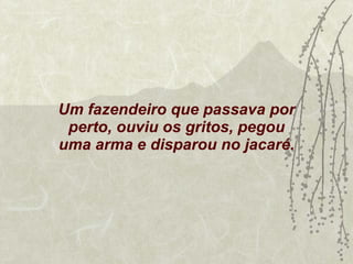 Um fazendeiro que passava por perto, ouviu os gritos, pegou uma arma e disparou no jacaré. 