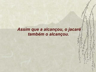 Assim que a alcançou, o jacaré também o alcançou. 