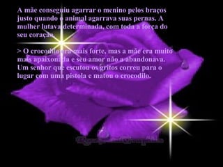 A mãe conseguiu agarrar o menino pelos braços justo quando o animal agarrava suas pernas. A mulher lutava determinada, com toda a força do seu coração.  > O crocodilo era mais forte, mas a mãe era muito mais apaixonada e seu amor não a abandonava. Um senhor que escutou os gritos correu para o lugar com uma pistola e matou o crocodilo. 