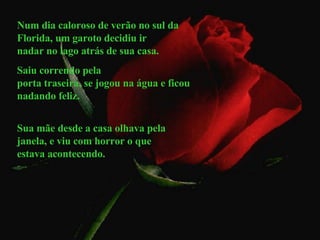 Num dia caloroso de verão no sul da Florida, um garoto decidiu ir  nadar no lago atrás de sua casa.  Saiu correndo pela porta traseira, se jogou na água e ficou nadando feliz. Sua mãe desde a casa olhava pela janela, e viu com horror o que estava acontecendo.  