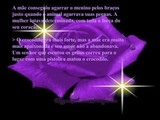 A mãe conseguiu agarrar o menino pelos braços justo quando o animal agarrava suas pernas. A mulher lutava determinada, com toda a força do seu coração.  > O crocodilo era mais forte, mas a mãe era muito mais apaixonada e seu amor não a abandonava. Um senhor que escutou os gritos correu para o lugar com uma pistola e matou o crocodilo. 