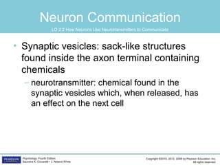 Copyright ©2015, 2012, 2008 by Pearson Education, Inc.
All rights reserved.
Psychology, Fourth Edition
Saundra K. Ciccarelli • J. Noland White
Neuron Communication
• Synaptic vesicles: sack-like structures
found inside the axon terminal containing
chemicals
– neurotransmitter: chemical found in the
synaptic vesicles which, when released, has
an effect on the next cell
LO 2.2 How Neurons Use Neurotransmitters to Communicate
 