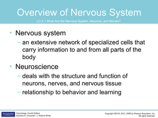 Copyright ©2015, 2012, 2008 by Pearson Education, Inc.
All rights reserved.
Psychology, Fourth Edition
Saundra K. Ciccarelli • J. Noland White
Overview of Nervous System
• Nervous system
– an extensive network of specialized cells that
carry information to and from all parts of the
body
• Neuroscience
– deals with the structure and function of
neurons, nerves, and nervous tissue
– relationship to behavior and learning
LO 2.1 What Are the Nervous System, Neurons, and Nerves?
 