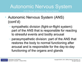 Copyright ©2015, 2012, 2008 by Pearson Education, Inc.
All rights reserved.
Psychology, Fourth Edition
Saundra K. Ciccarelli • J. Noland White
Autonomic Nervous System
• Autonomic Nervous System (ANS)
(cont’d)
– sympathetic division (fight-or-flight system):
part of the ANS that is responsible for reacting
to stressful events and bodily arousal
– parasympathetic division: part of the ANS that
restores the body to normal functioning after
arousal and is responsible for the day-to-day
functioning of the organs and glands
LO 2.4 Somatic and Autonomic Nervous Systems
 