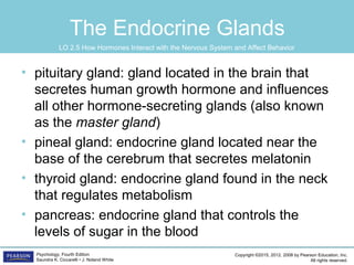 Copyright ©2015, 2012, 2008 by Pearson Education, Inc.
All rights reserved.
Psychology, Fourth Edition
Saundra K. Ciccarelli • J. Noland White
The Endocrine Glands
• pituitary gland: gland located in the brain that
secretes human growth hormone and influences
all other hormone-secreting glands (also known
as the master gland)
• pineal gland: endocrine gland located near the
base of the cerebrum that secretes melatonin
• thyroid gland: endocrine gland found in the neck
that regulates metabolism
• pancreas: endocrine gland that controls the
levels of sugar in the blood
LO 2.5 How Hormones Interact with the Nervous System and Affect Behavior
 
