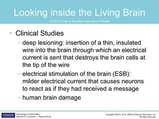 Copyright ©2015, 2012, 2008 by Pearson Education, Inc.
All rights reserved.
Psychology, Fourth Edition
Saundra K. Ciccarelli • J. Noland White
Looking inside the Living Brain
• Clinical Studies
– deep lesioning: insertion of a thin, insulated
wire into the brain through which an electrical
current is sent that destroys the brain cells at
the tip of the wire
– electrical stimulation of the brain (ESB):
milder electrical current that causes neurons
to react as if they had received a message
– human brain damage
LO 2.6 Study of the Brain and How It Works
 