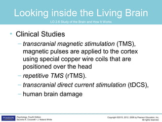 Copyright ©2015, 2012, 2008 by Pearson Education, Inc.
All rights reserved.
Psychology, Fourth Edition
Saundra K. Ciccarelli • J. Noland White
Looking inside the Living Brain
• Clinical Studies
– transcranial magnetic stimulation (TMS),
magnetic pulses are applied to the cortex
using special copper wire coils that are
positioned over the head
– repetitive TMS (rTMS).
– transcranial direct current stimulation (tDCS),
– human brain damage
LO 2.6 Study of the Brain and How It Works
 