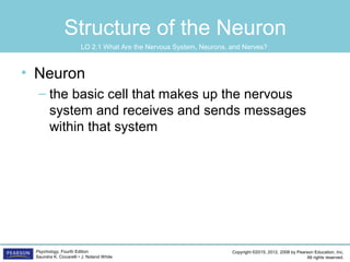 Copyright ©2015, 2012, 2008 by Pearson Education, Inc.
All rights reserved.
Psychology, Fourth Edition
Saundra K. Ciccarelli • J. Noland White
Structure of the Neuron
• Neuron
– the basic cell that makes up the nervous
system and receives and sends messages
within that system
LO 2.1 What Are the Nervous System, Neurons, and Nerves?
 