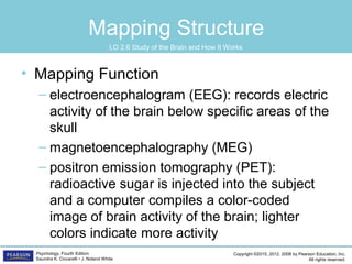 Copyright ©2015, 2012, 2008 by Pearson Education, Inc.
All rights reserved.
Psychology, Fourth Edition
Saundra K. Ciccarelli • J. Noland White
Mapping Structure
• Mapping Function
– electroencephalogram (EEG): records electric
activity of the brain below specific areas of the
skull
– magnetoencephalography (MEG)
– positron emission tomography (PET):
radioactive sugar is injected into the subject
and a computer compiles a color-coded
image of brain activity of the brain; lighter
colors indicate more activity
LO 2.6 Study of the Brain and How It Works
 