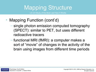 Copyright ©2015, 2012, 2008 by Pearson Education, Inc.
All rights reserved.
Psychology, Fourth Edition
Saundra K. Ciccarelli • J. Noland White
Mapping Structure
• Mapping Function (cont’d)
– single photon emission computed tomography
(SPECT): similar to PET, but uses different
radioactive tracers
– functional MRI (fMRI): a computer makes a
sort of “movie” of changes in the activity of the
brain using images from different time periods
LO 2.6 Study of the Brain and How It Works
 