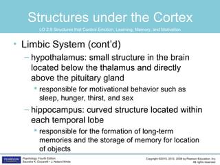Copyright ©2015, 2012, 2008 by Pearson Education, Inc.
All rights reserved.
Psychology, Fourth Edition
Saundra K. Ciccarelli • J. Noland White
Structures under the Cortex
• Limbic System (cont’d)
– hypothalamus: small structure in the brain
located below the thalamus and directly
above the pituitary gland
 responsible for motivational behavior such as
sleep, hunger, thirst, and sex
– hippocampus: curved structure located within
each temporal lobe
 responsible for the formation of long-term
memories and the storage of memory for location
of objects
LO 2.8 Structures that Control Emotion, Learning, Memory, and Motivation
 