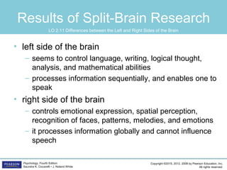 Copyright ©2015, 2012, 2008 by Pearson Education, Inc.
All rights reserved.
Psychology, Fourth Edition
Saundra K. Ciccarelli • J. Noland White
Results of Split-Brain Research
• left side of the brain
– seems to control language, writing, logical thought,
analysis, and mathematical abilities
– processes information sequentially, and enables one to
speak
• right side of the brain
– controls emotional expression, spatial perception,
recognition of faces, patterns, melodies, and emotions
– it processes information globally and cannot influence
speech
LO 2.11 Differences between the Left and Right Sides of the Brain
 