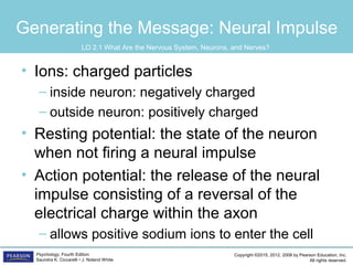 Copyright ©2015, 2012, 2008 by Pearson Education, Inc.
All rights reserved.
Psychology, Fourth Edition
Saundra K. Ciccarelli • J. Noland White
Generating the Message: Neural Impulse
• Ions: charged particles
– inside neuron: negatively charged
– outside neuron: positively charged
• Resting potential: the state of the neuron
when not firing a neural impulse
• Action potential: the release of the neural
impulse consisting of a reversal of the
electrical charge within the axon
– allows positive sodium ions to enter the cell
LO 2.1 What Are the Nervous System, Neurons, and Nerves?
 