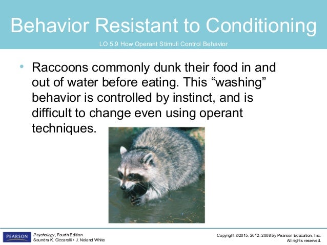 PSYC1101 Chapter 5, 4th Edition PowerPoint