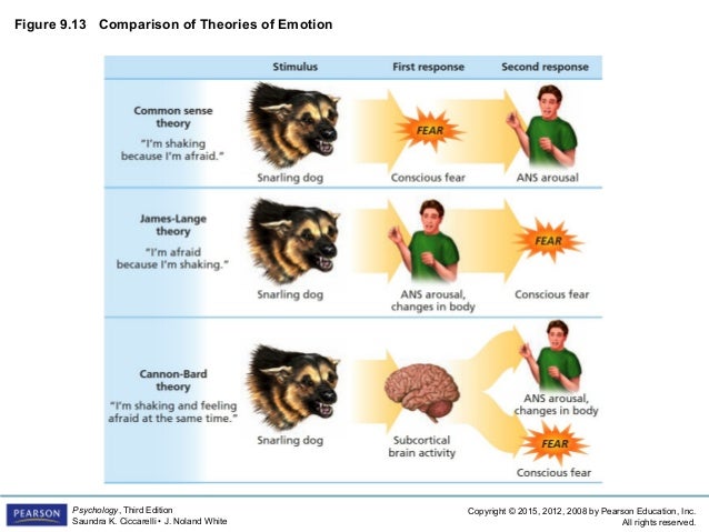 chapter 4 major theories for