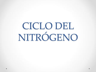CICLO DEL
NITRÓGENO
 