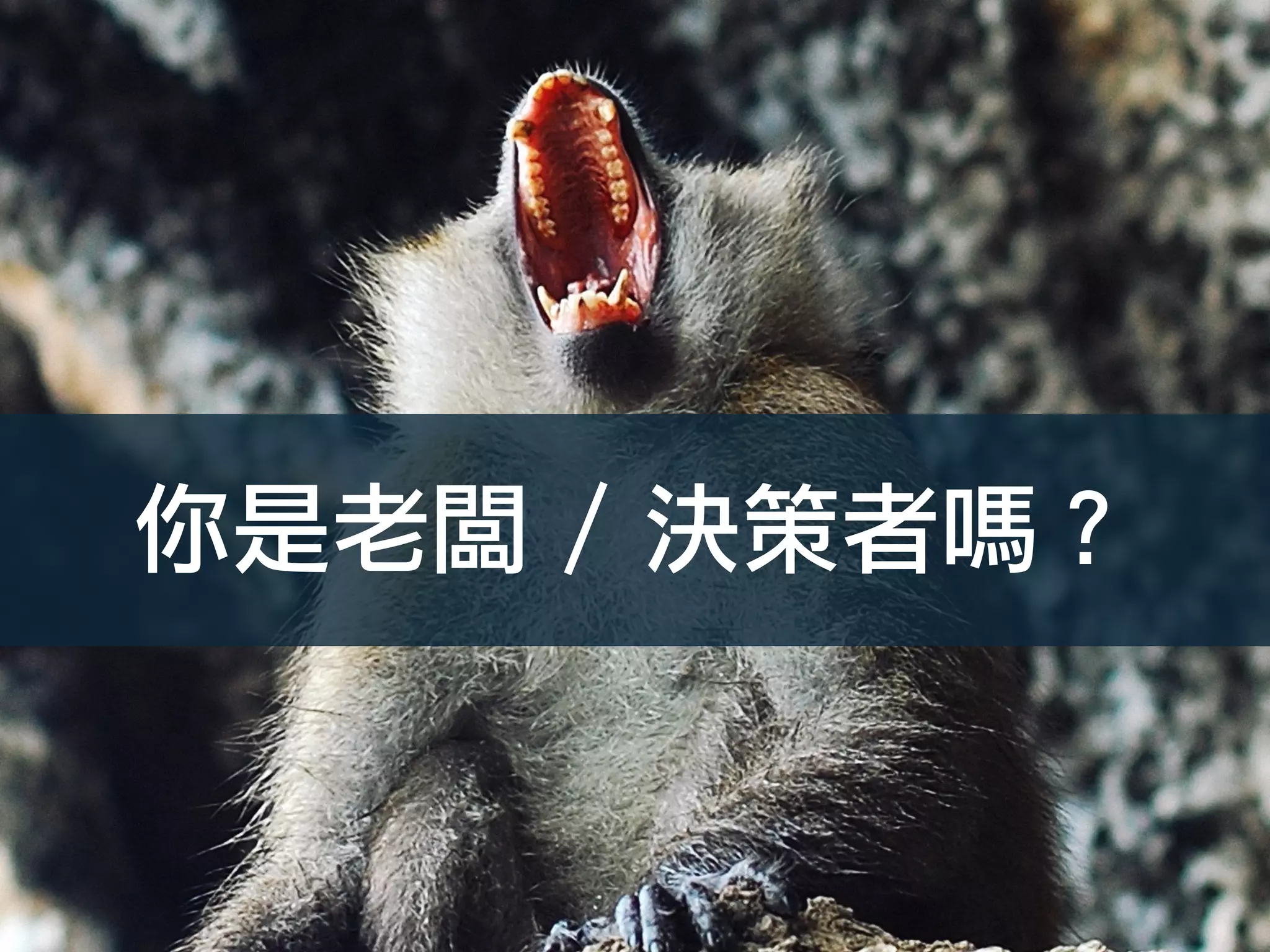 你是老闆 / 決策者嗎？
 