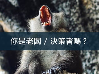 你是老闆 / 決策者嗎？
 
