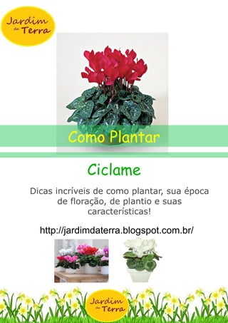 Ciclame
Dicas incríveis de como plantar, sua época
de floração, de plantio e suas
características!
http://jardimdaterra.blogspot.com.br/
Como Plantar
 
