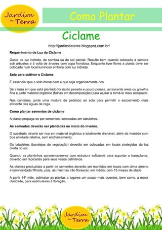 Ciclame [pdf] como plantar ciclame jardimdaterra.blogspot.com.br