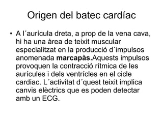 Origen del batec cardíac A l´aurícula dreta, a prop de la vena cava, hi ha una àrea de teixit muscular especialitzat en la producció d´impulsos anomenada  marcapàs. Aquests impulsos provoquen la contracció rítmica de les aurícules i dels ventrícles en el cicle cardiac. L´activitat d´quest teixit implica canvis elèctrics que es poden detectar amb un ECG. 