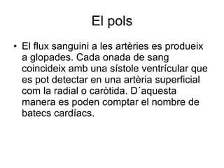 El pols El flux sanguini a les artèries es produeix a glopades. Cada onada de sang coincideix amb una sístole ventrícular que es pot detectar en una artèria superficial com la radial o caròtida. D´aquesta manera es poden comptar el nombre de batecs cardíacs. 