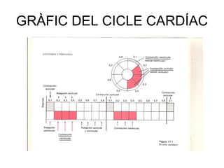 GRÀFIC DEL CICLE CARDÍAC 