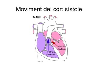 Moviment del cor: sístole 