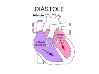 DIÀSTOLE 