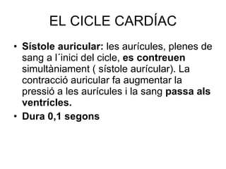 EL CICLE CARDÍAC Sístole auricular:  les aurícules, plenes de sang a l´inici del cicle,  es contreuen  simultàniament ( sístole aurícular). La contracció auricular fa augmentar la pressió a les aurícules i la sang  passa als ventrícles. Dura 0,1 segons 