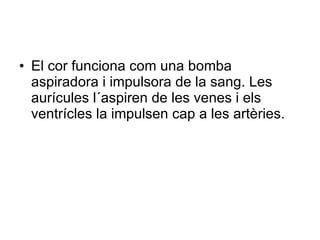 El cor funciona com una bomba aspiradora i impulsora de la sang. Les aurícules l´aspiren de les venes i els ventrícles la impulsen cap a les artèries. 