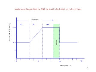 Variació de la quantitat de DNA de la cèl·lula durant un cicle cel·lular
 