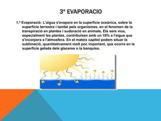 3º EVAPORACIO
1.º Evaporació: L'aigua s'evapora en la superfície oceànica, sobre la
superfície terrestre i també pels organismes, en el fenomen de la
transpiració en plantes i sudoració en animals. Els sers vius,
especialment les plantes, contribuïxen amb un 10% a l'aigua que
s'incorpora a l'atmosfera. En el mateix capítol podem situar la
sublimació, quantitativament molt poc important, que ocorre en la
superfície gelada dels glaceres o la banquisa.

 