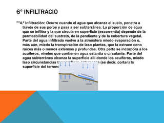 6º INFILTRACIO
""4.º Infiltración: Ocurre cuando el agua que alcanza el suelo, penetra a
través de sus poros y pasa a ser subterránea. La proporción de agua
que se infiltra y la que circula en superficie (escorrentía) depende de la
permeabilidad del sustrato, de la pendiente y de la cobertura vegetal.
Parte del agua infiltrada vuelve a la atmósfera miedo evaporación o,
más aún, miedo la transpiración de laso plantas, que la extraen cono
raíces más o menos extensas y profundas. Otra parte se incorpora a los
acuíferos, niveles que contienen agua estantía o circulante. Parte del
agua subterránea alcanza la superficie allí donde los acuíferos, miedo
laso circunstancias topográficas, intersecan (se decir, cortan) la
superficie del terreno."

 