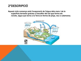 2ºDESCRIPCIÓ
Aquest cicle comença amb l'evaporació de l'aigua dels mars i de la
superfície terrestre gràcies a l'escalfor del sol que forma els
núvols, aigua que torna a la Terra en forma de pluja, neu o calamarsa.

 