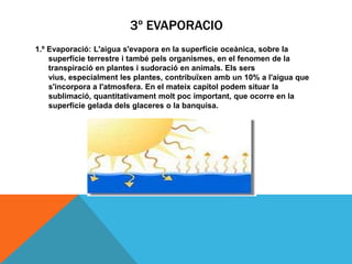 3º EVAPORACIO
1.º Evaporació: L'aigua s'evapora en la superfície oceànica, sobre la
superfície terrestre i també pels organismes, en el fenomen de la
transpiració en plantes i sudoració en animals. Els sers
vius, especialment les plantes, contribuïxen amb un 10% a l'aigua que
s'incorpora a l'atmosfera. En el mateix capítol podem situar la
sublimació, quantitativament molt poc important, que ocorre en la
superfície gelada dels glaceres o la banquisa.

 