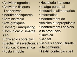 Activitas agraries  Activitats fisiques    i esportives Maritimopesqueres Administració Arts gràfiques Comerç i marqueting Comunicació, imatge   i so Edificació i obra civil Electricitat i electronica Fabricació mecanica Fusta i moble Hosteleria i turisme Imatge personal Industries alimentaries Informatica Manteniment de vehicles autopropulsats Manteniment i serveis a la producció Quimica Sanitat Serveis socioculturals i a la comunitat Tèxtil, confecció i pell 