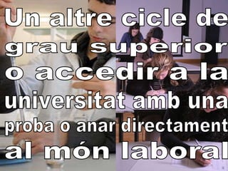 Un altre cicle de  o accedir a la  proba o anar directament  al món laboral  grau superior universitat amb una 